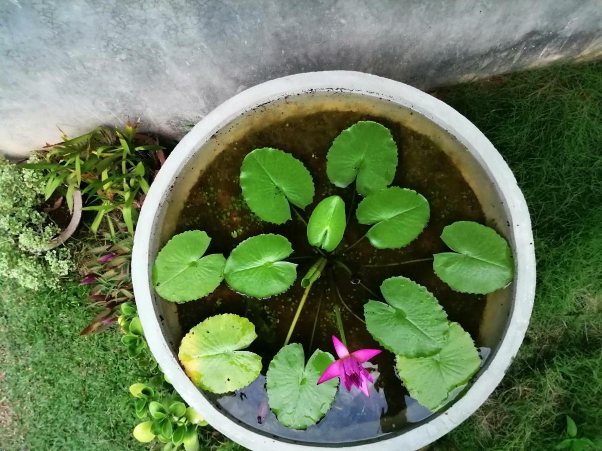 Orchid Villa #10 Hikkaduwa Exterior photo
